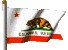 Flagge California
