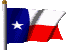 Flagge Texas